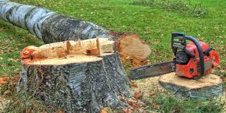 Best Utility Line Clearance  in Boonville, MO