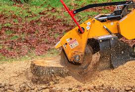 Best Soil Testing and Treatment  in Boonville, MO