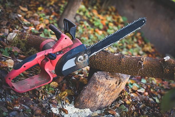 Best Pest Control for Lawns  in Boonville, MO